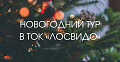 Новогодний тур 