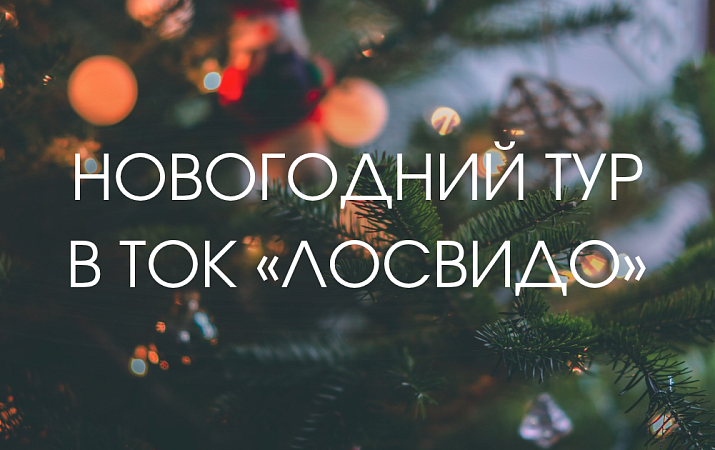Новогодний тур 