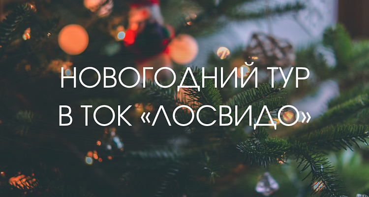 Новогодний тур 