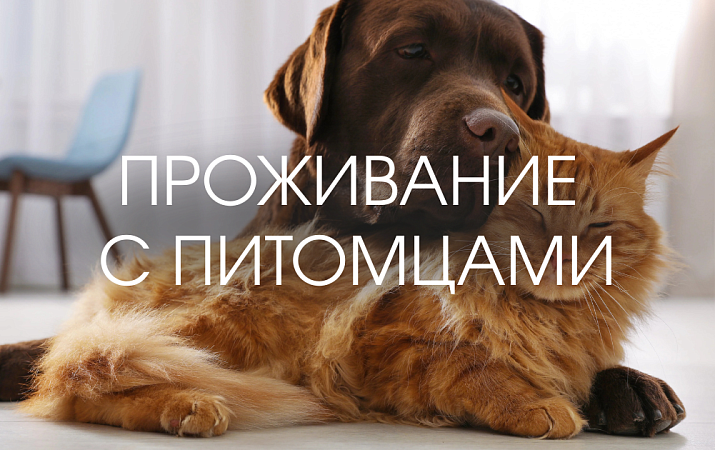 Проживание с питомцами